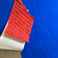 2017 7 3 My Perspective collage_left words detail