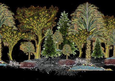 Ultimate Living: large trees in colour