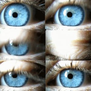 10 blink glued