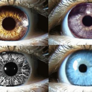 11 multi iris glue